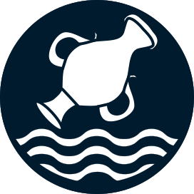 EMN Logo; a ewer over a river to represent Thaliak