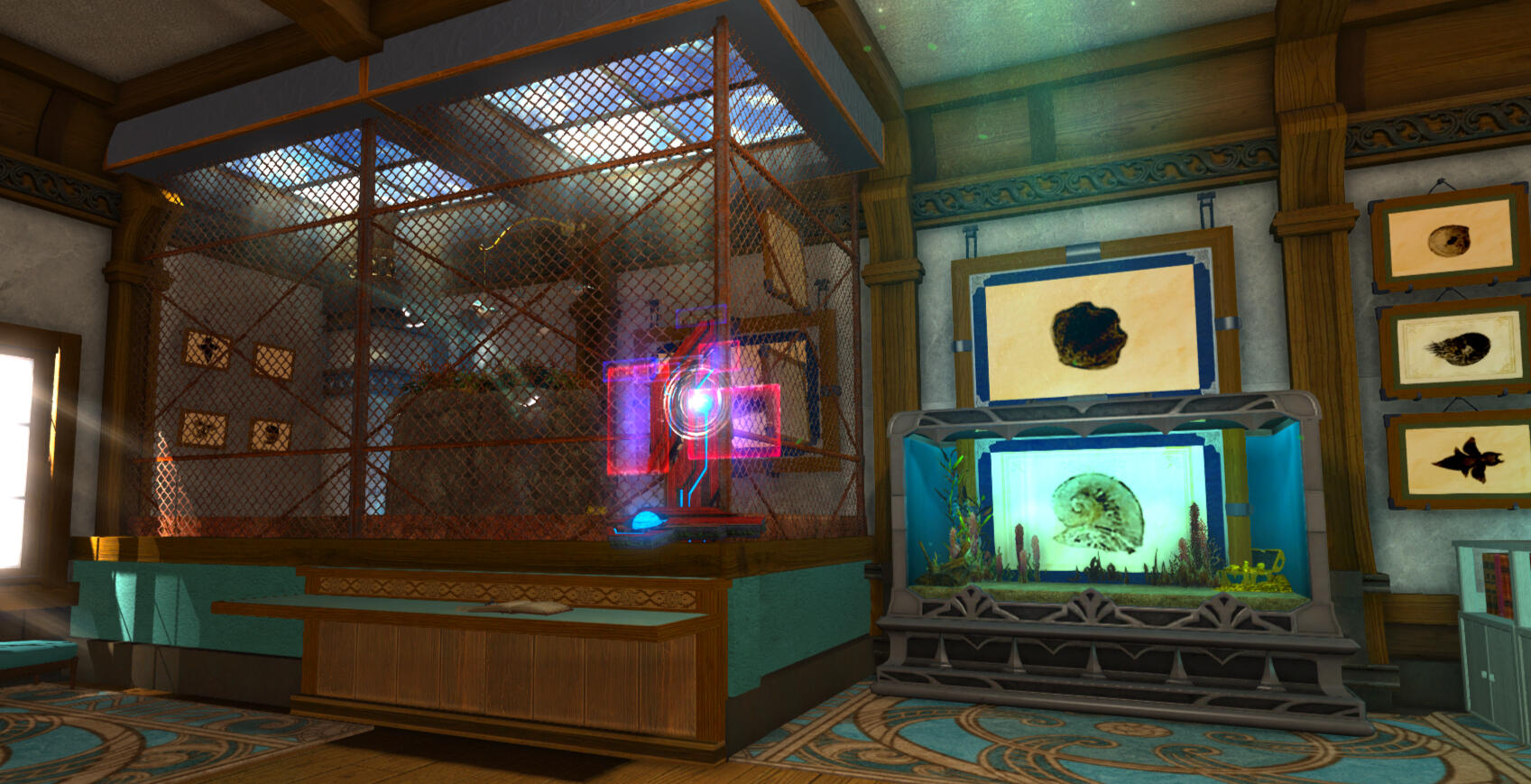 Mollusc enclosures and prints in the Faculty of Conchology.